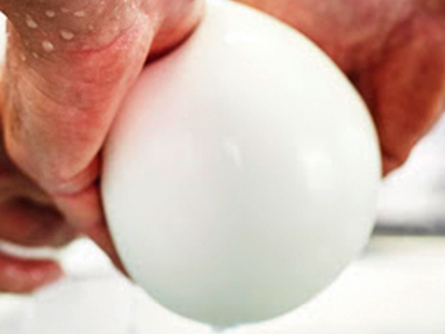 61e1d05faa22ce2a2d49dc35_hpg-tour-img-2-paestum